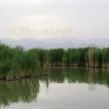 ʼ